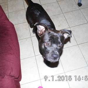 Meet your Posher, Wayne